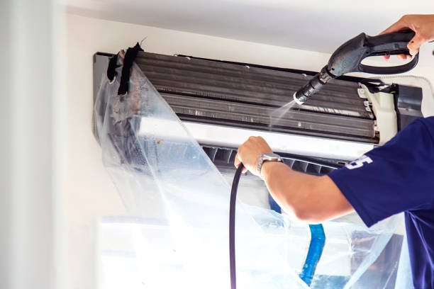 Best Air Duct Mold Removal  in Piedmont, CA
